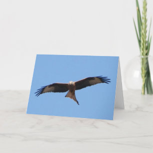 Carte rouge Kite