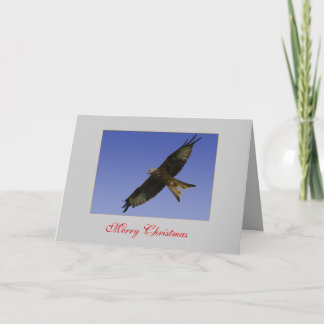 Carte rouge Kite