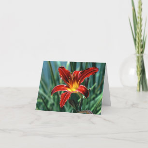 Carte rouge Lily