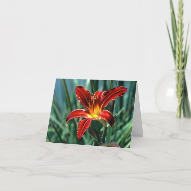 Carte rouge Lily (Devant)