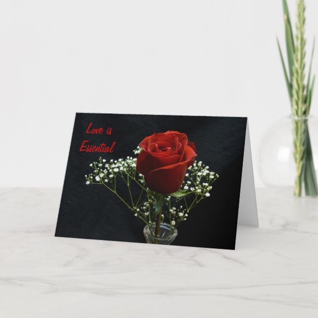 Carte rouge Rose/Petit Prince (Devant)