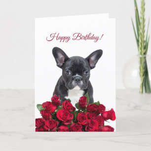 Carte Rouge Roses d'Anniversaire Français
