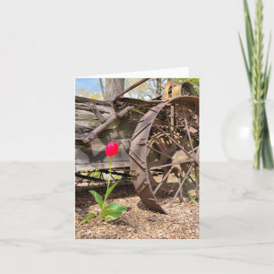 Carte rouge Tulip et Old Wagon