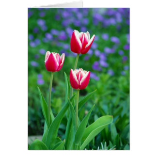 Carte rouge Tulips