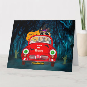 Carte Rough Collie Chien Conduisant une Voiture Épouvant