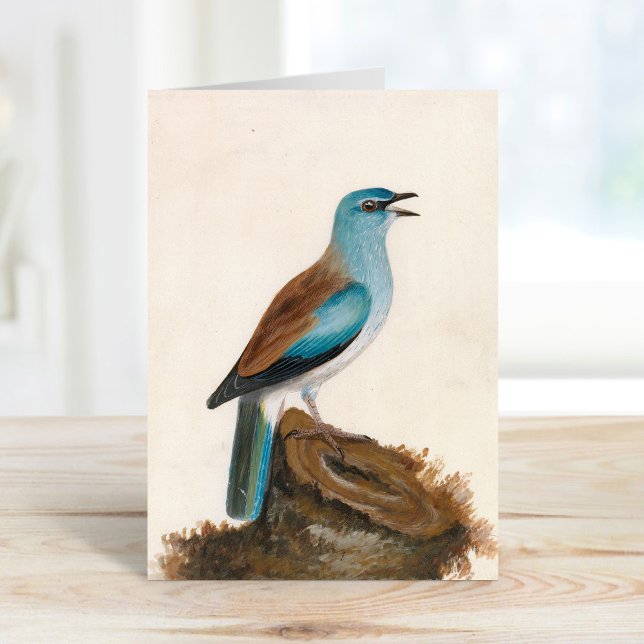 Carte Rouleau à grain | William Lewin (Créateur téléchargé)