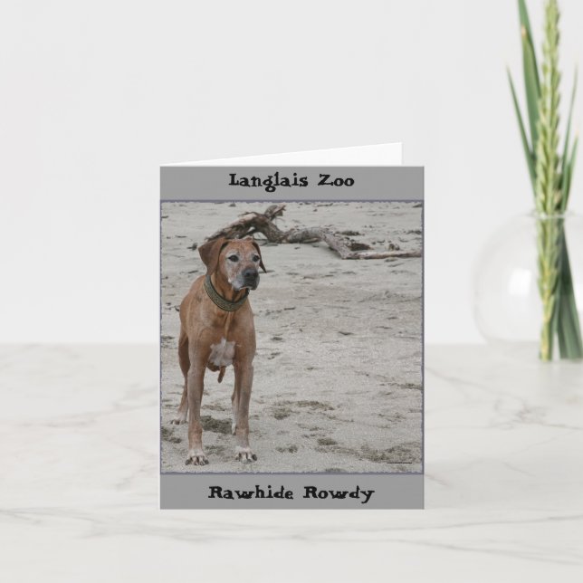 Carte Rowdy, Rawhide Rowdy, Langlais Zoo (Devant)