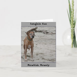 Carte Rowdy, Rawhide Rowdy, Langlais Zoo
