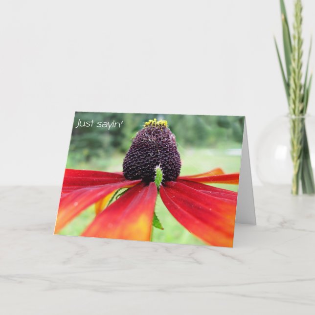 Carte Rubeckia, je dis juste (Devant)