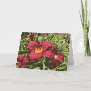 Carte Ruby Spider Daylily Fleurs Humides Lily Rouge Jaun