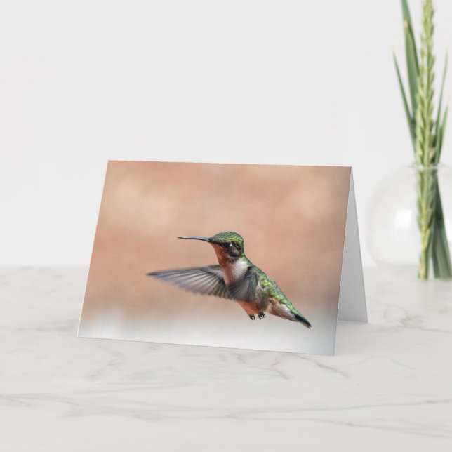 Carte Ruby Throated Hummingbird Blank Note Card (Devant)