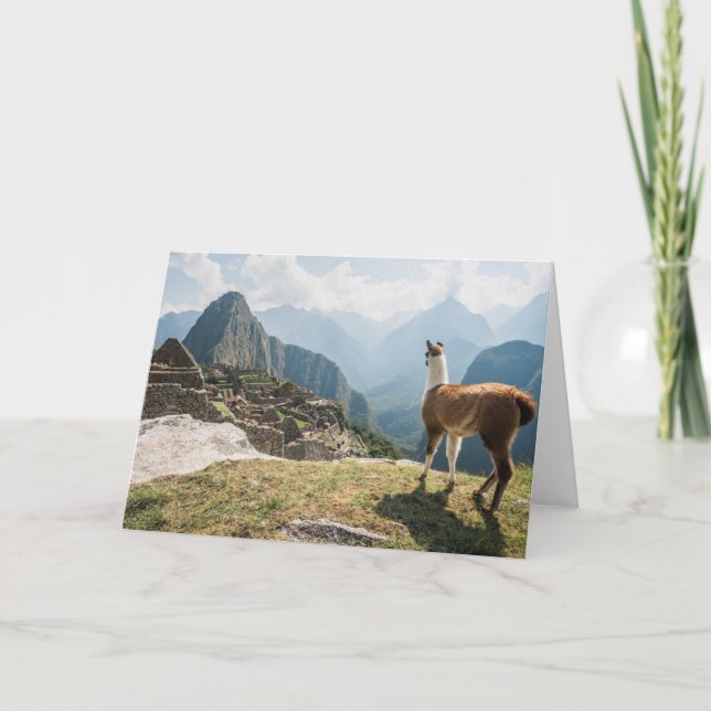 Carte Ruines de négligence de lama | Machu Picchu, Pérou (Devant)