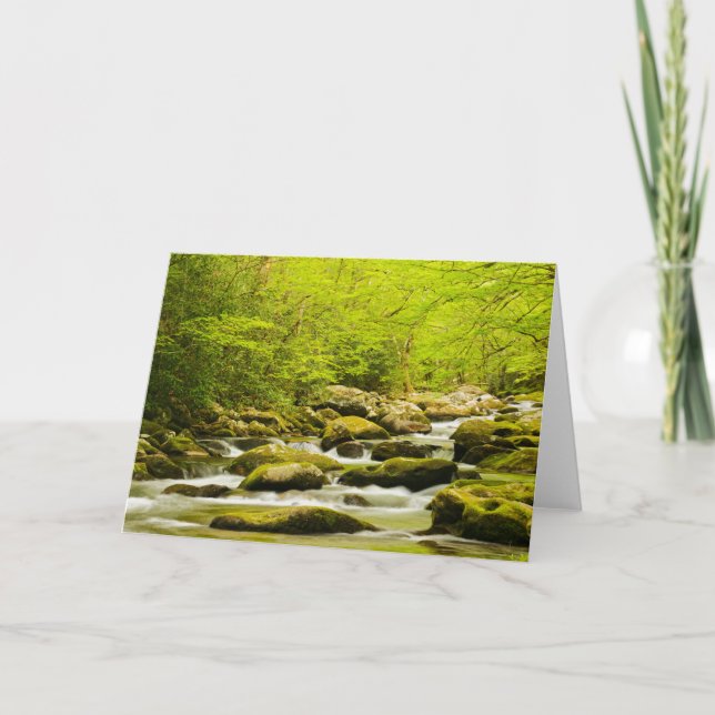 Carte Ruisseau Rugissant au printemps (Devant)