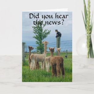 Carte RUMOR EST QUE **70ème ANNIVERSAIRE** PAS SI MAUVAI