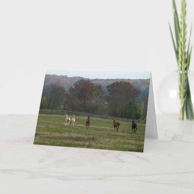 Carte Running Horses, Card (Devant)