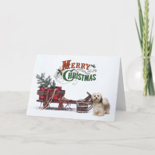 Carte Rustic Havanese Christmas