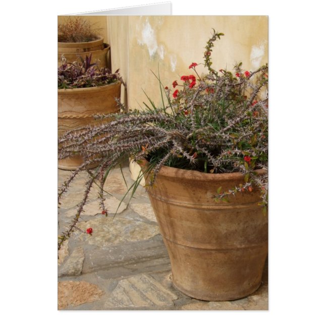 Carte Rustique Pots (Devant)