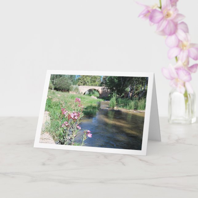 Carte Ruta del Agua, portrait floral, Chelva, Valence (Orchidée)