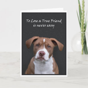 Carte Sad dog présente ses condoléances pour la perte d'