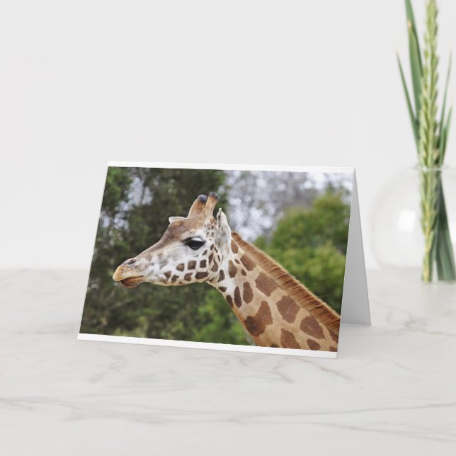 Carte Safari Afrique Mod Chic Classy Destiny Giraffe (Devant)
