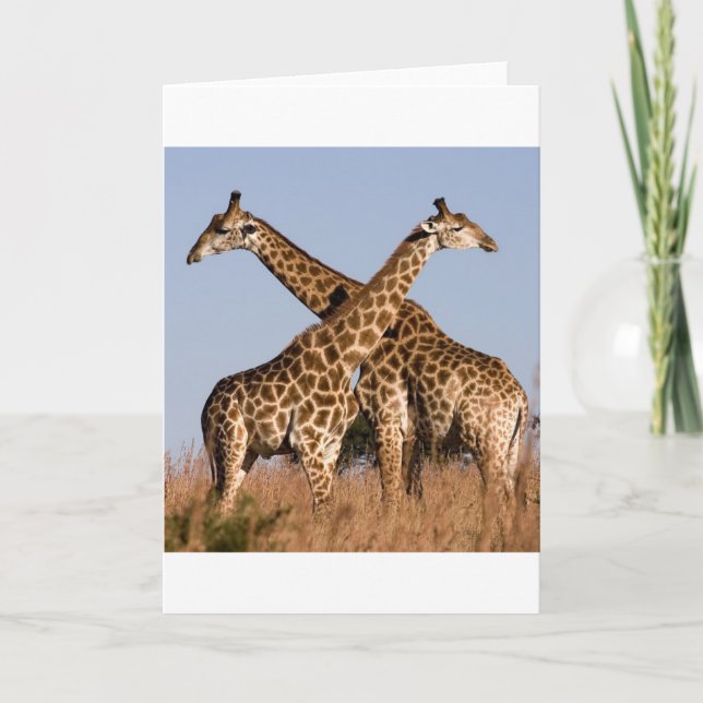 Carte Safari Afrique Mod Chic Élégant  Destin Girafe (Devant)