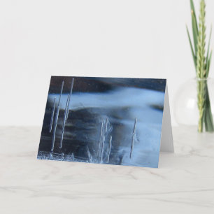 Carte Saguaro Cactus Vision Quest, Nature Esotérique