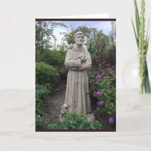 Carte Saint-François