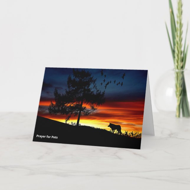 Carte Saint François d'Assise Prière pour les animaux -  (Devant)
