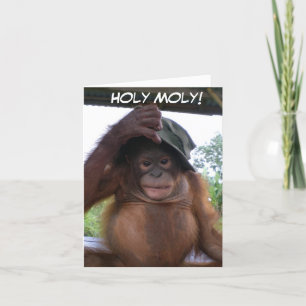 Carte Saint Moly Obtenir vieux mignon animal d'anniversa