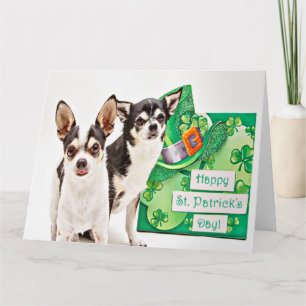 Carte Saint Patrick's Day Chihuahua's