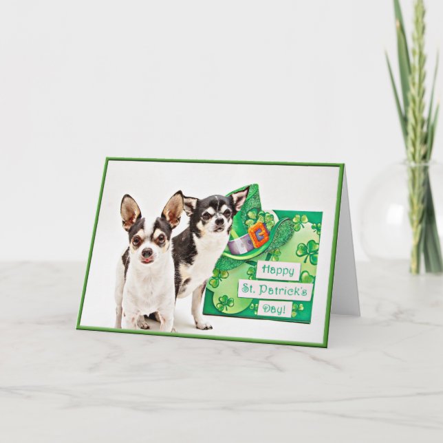 Carte Saint Patrick's Day Chihuahua's (Devant)