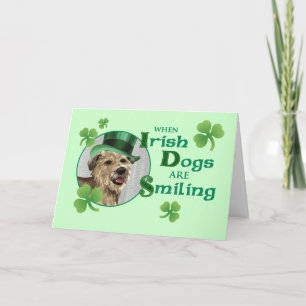Carte Saint Patrick's Day Glen of Imaal Terrier