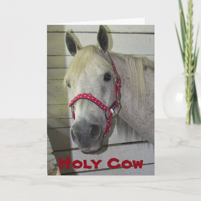 CARTE SAINT VACHE JEUNE ANNIVERSAIRE FILLY ANNIVERSAIRE- (Devant)