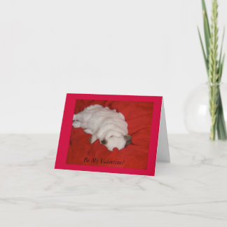 Carte Saint Valentin