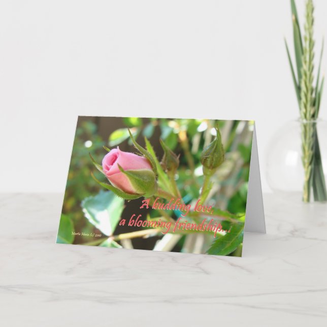 Carte Saint Valentin (3) - Personnaliser/Customise (Devant)