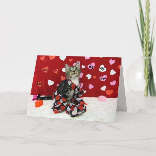Carte Saint-Valentin Bandit - Chat / Kitten (Devant)