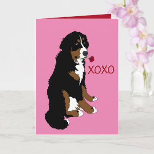 Carte Saint Valentin Bernese Mountain Dog