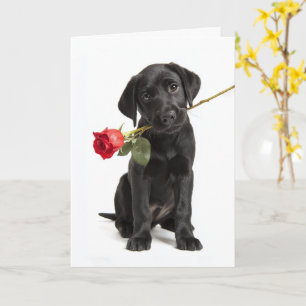 Carte Saint-Valentin Black Lab