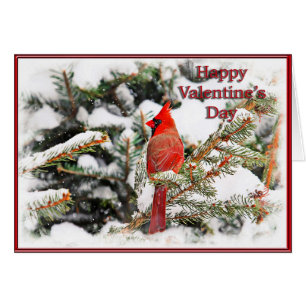 Carte Saint Valentin d'un cardinal dans un pin