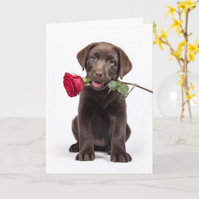 Carte Saint-Valentin Lab chocolat (Fleur jaune)