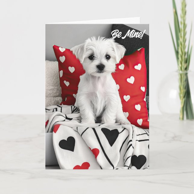Carte Saint-Valentin Maltese Terrier (Devant)