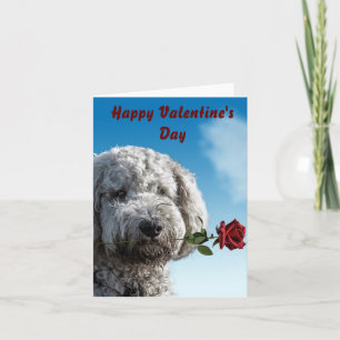 Carte Saint Valentin mignon chiot