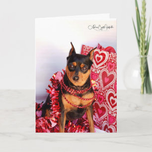 Carte Saint-Valentin MinPin