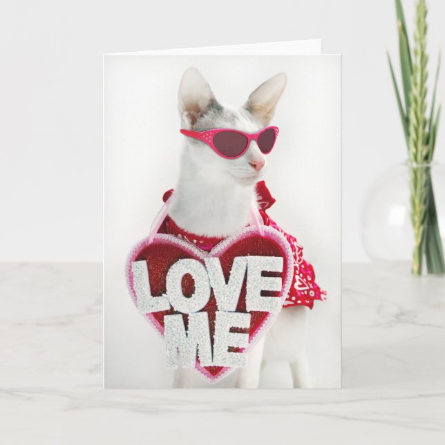 Carte Saint Valentin par Skeezix le chat (Devant)
