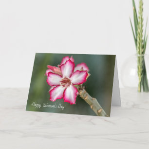 Carte Saint Valentin - Rose du désert
