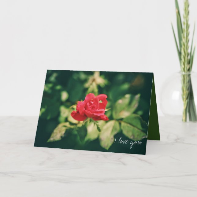 Carte Saint-Valentin Rose Rouge Je T'Aime Toujours (Devant)