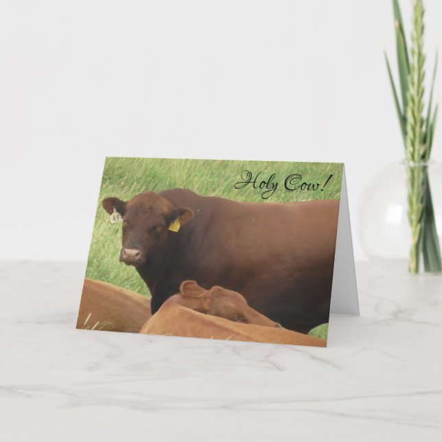 Carte Sainte Vache C'est Ton Anniversaire (Devant)