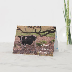 Carte Sainte vache, tu deviens vieux, Anniversaire 