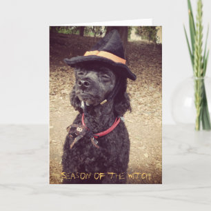 Carte Saison de la sorcière