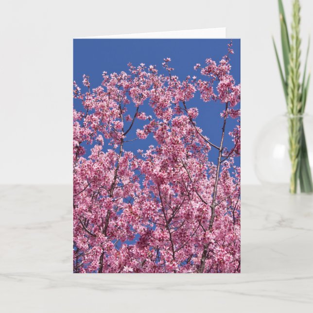 Carte Sakura Cerisiers en Fleur Dans Le Bleu (Devant)